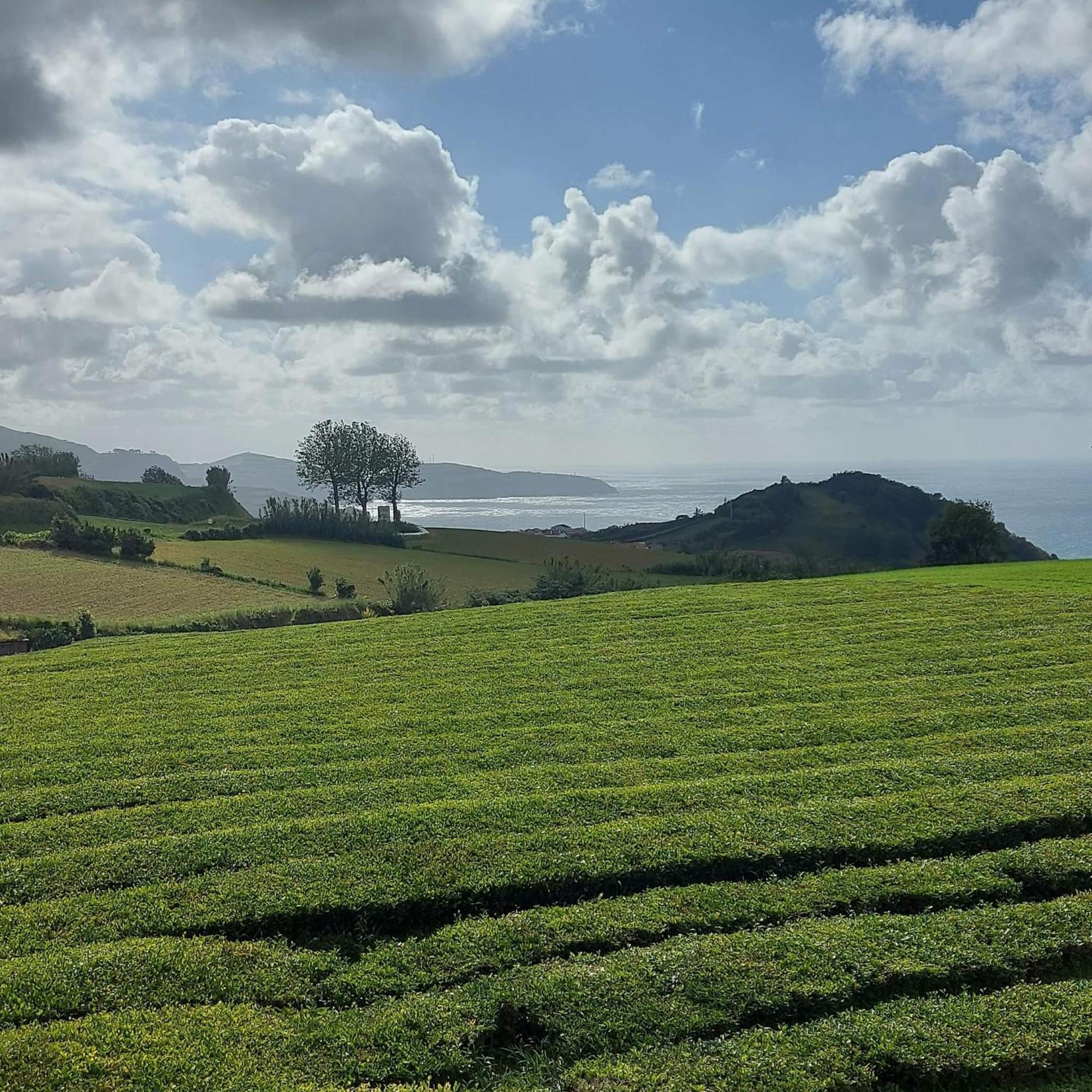 Pousada Da Vila Vila Franca do Campo Eksteriør bilde